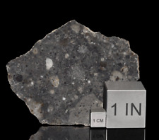 Rare Bechar 006 Lunar Meteorite Slice  picture