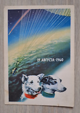 1962 Belka and Strelka First cosmonauts Space dogs rare soviet Russian postcard picture