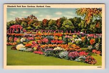 Hartford CT-Connecticut, Elizabeth Park Rose Gardens, Vintage Souvenir Postcard picture