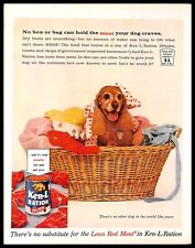1961 Ken L Ration Vintage PRINT AD Dog Food Meat Cute Basket Pet picture