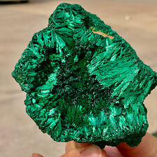 269G Natural glossy Malachite transparent cluster rough mineral sample picture