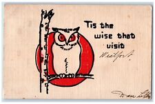1907 Wise Owl Visit Tree Branch Canton Pennsylvania PA Posted Antique Postcard picture