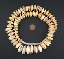 Antique Mauritanian Conus Shell Beads Graduated 18mm African White Unusual picture