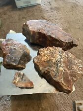 ☘️RR⛏️: Rough Detailed Agatized Arizona Petrified Wood, Lot Of 4 18 Lbs picture