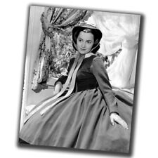Olivia de Havilland Vintage Rare Retro Photo Glossy Big Size 8X10in δ076  picture