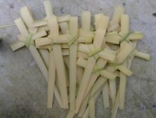 DON'T WAIT ORDER NOW 25 small FRESH Palm Bud Crosses MADE IN FLORIDA  3day ship picture