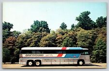 Transportation~Greyhound Americruiser Bus~1960s Postcard picture