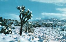 Postcard CA California The Desert in Winter Snow Chrome Vintage PC H5647 picture