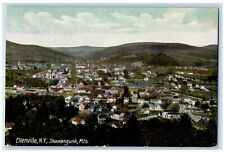 c1910's Birds Eye View Of Shawangunk Mountains Ellenville New York NY Postcard picture