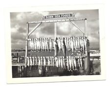 c1940s Bown Sea Foods Fish Hanging Catches Of The Day Snapshot Photo Snap picture