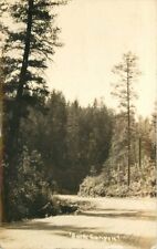Dark Canyon 1937 La Mesa California Postcard RPPC 5799 picture