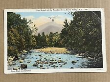 Postcard East Branch Of Ausable River Keene Valley New York NY Vintage PC picture