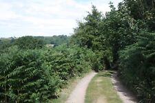 Photo 12x8 Track to Brewer's Cottage Hollybush/SO7636 Leading down from t c2010 picture