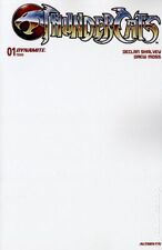 Thundercats 1J Blank Sketch Variant NM 2024 Stock Image picture