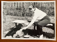 Beautiful Girl Playing with Dog, Pretty Attractive Woman Vintage photo picture