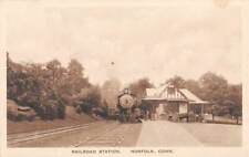 NORFOLK, CT ~ CNE RAILROAD STATION, TRAIN, CARRIAGES, ALBERTYPE PUB ~ c.1910-20s picture