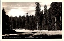 Vintage RPPC Postcard Crescent Meadows Sequoia National Park CA California K-219 picture
