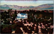 A California Winter Residence Among Orange Groves Vintage Souvenir Postcard picture