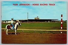 Sioux City Indiana Park Jefferson Horse Racing Track Chrome UNP Postcard picture