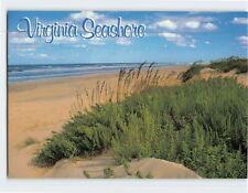 Postcard Virginia Seashore Virginia Beach Virginia USA picture