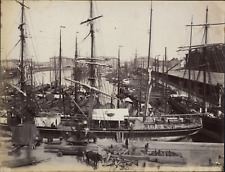 Belgium, Antwerp, Boats in Port, Vintage Albumen Print Wood Unloading, s picture