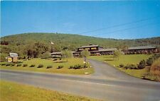 Binghamton New York 1960 Postcard Vestal Motel  picture