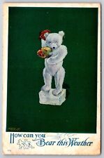 Charles Twelvetrees~How Can You Bear Weather~Steiff Teddy Bear On Ice~Fan~1909 picture