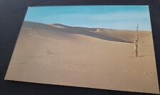 Sand Dunes In Michigan Anscochrome Color Postcard  picture