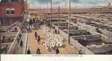 CE-274 IL, Chicago, Commercial Avenue Stock Yards Undivided Back Postcard  picture