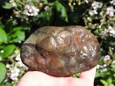 AAA Quality TOP SHELF Whole OREGON Jasper Agate Nodule 18oz FORTIFIED, COLORFUL picture