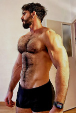 Shirtless Male Muscular Hairy Man Bearded Alpha Hunk Jock PHOTO 4X6 H645 picture