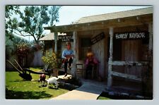 Universal City CA-California, Ma Pa Kettle's Animal Farm, Vintage Postcard picture