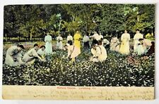 Lindsborg KS Kansas Woman and Children Picking Bethany Daisies Postcard L5 picture