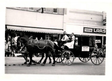 Loveland, CO Photo Derby Hill Market Parade Stage Coach Horses 1950's Western picture