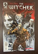 The WITCHER #1 (Dark Horse / CDPROJEKT Red 2014) -- 1st Print -- GD/VG picture
