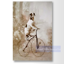 Antique Studio Photo of Whimsical Dog on Tricycle Vintage Photo Print picture