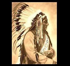 1885 Chief Sitting Bull PHOTO Portrait Lakota Indian, Battle of Little Bighorn picture