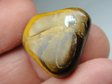 GOLD TIGER EYE - SOUTH AFRICA - HIGH POLISH - M-4571 - 7.20g EXCELLENT DETAILS picture