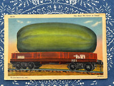 Postcard as seen on Allman Brothers EAT A PEACH back of Album Cover Posted 1956 picture