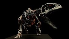 3d printed The skull of GIGANOTOSAURUS  skeleton model dinosaur 1:20 picture