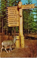 Banff Alberta Directional Sign Field Cranbrook Spokane Mule Deer Postcard H15 picture