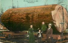 Logging Postcard; Huge Fir Log en Route to Lumber Mill, Washington, c1910 picture