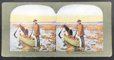 c1900s TW Ingersoll Stereograph #488 The Ducks Must Suffer Dogs Canoe Hunting picture