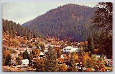 Downieville CA Birdseye View Postcard 1849 Gold Mining Town Houses Mountain Tree picture