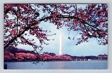 Washington DC, Washington Monument, Tidal Basin, Antique Vintage Postcard picture
