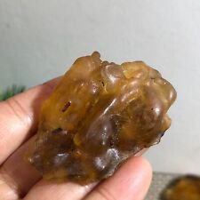 14g Rare Natural Baltic Amber Raw Sea Stone Rock Genuine Cognac Color h205 picture