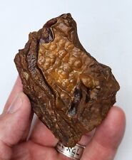 Awesome Agatized Fossil Coral Bitroidal Display Specimen - 91g picture