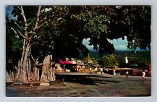 Kailua HI-Hawaii, Scenic View Of Road Area, Antique, Vintage Souvenir Postcard picture