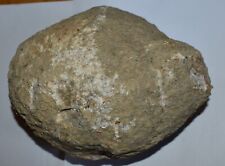 Geode Whole from North Carolina 100% Natural 15 lb. Rare Large picture