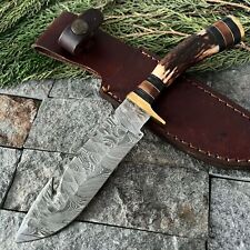 SHARD CUSTOM HAND FORGED DAMASCUS STEEL STAG/ANTLER HORN HUNTING KNIFE W/SHEATH picture